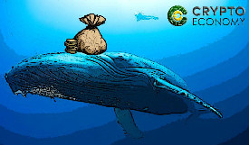 史上最大ICO项目正被“巨鲸”主导