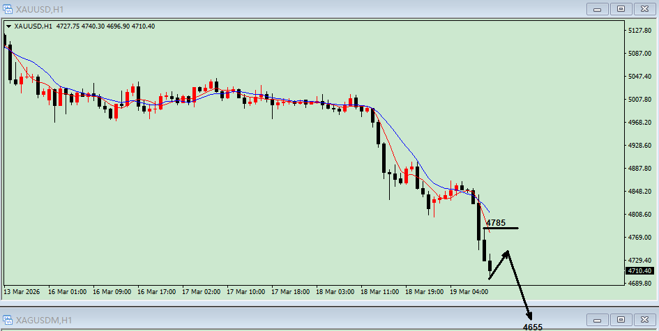 沈皓南：黄金，还未止跌！