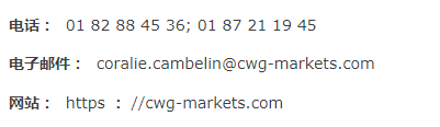 CWG Markets关于克隆公司欺诈信息的公告