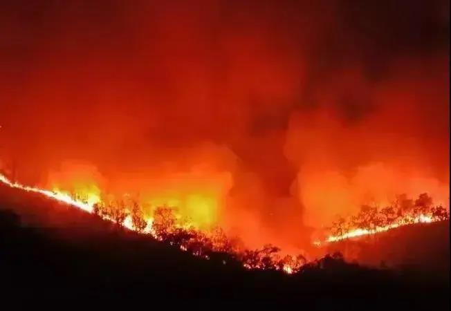 ATFX向泰国捐赠物资，为扑灭森林大火助力