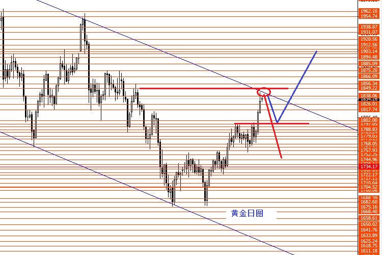 张果彤：黄金关注1840区域强阻力