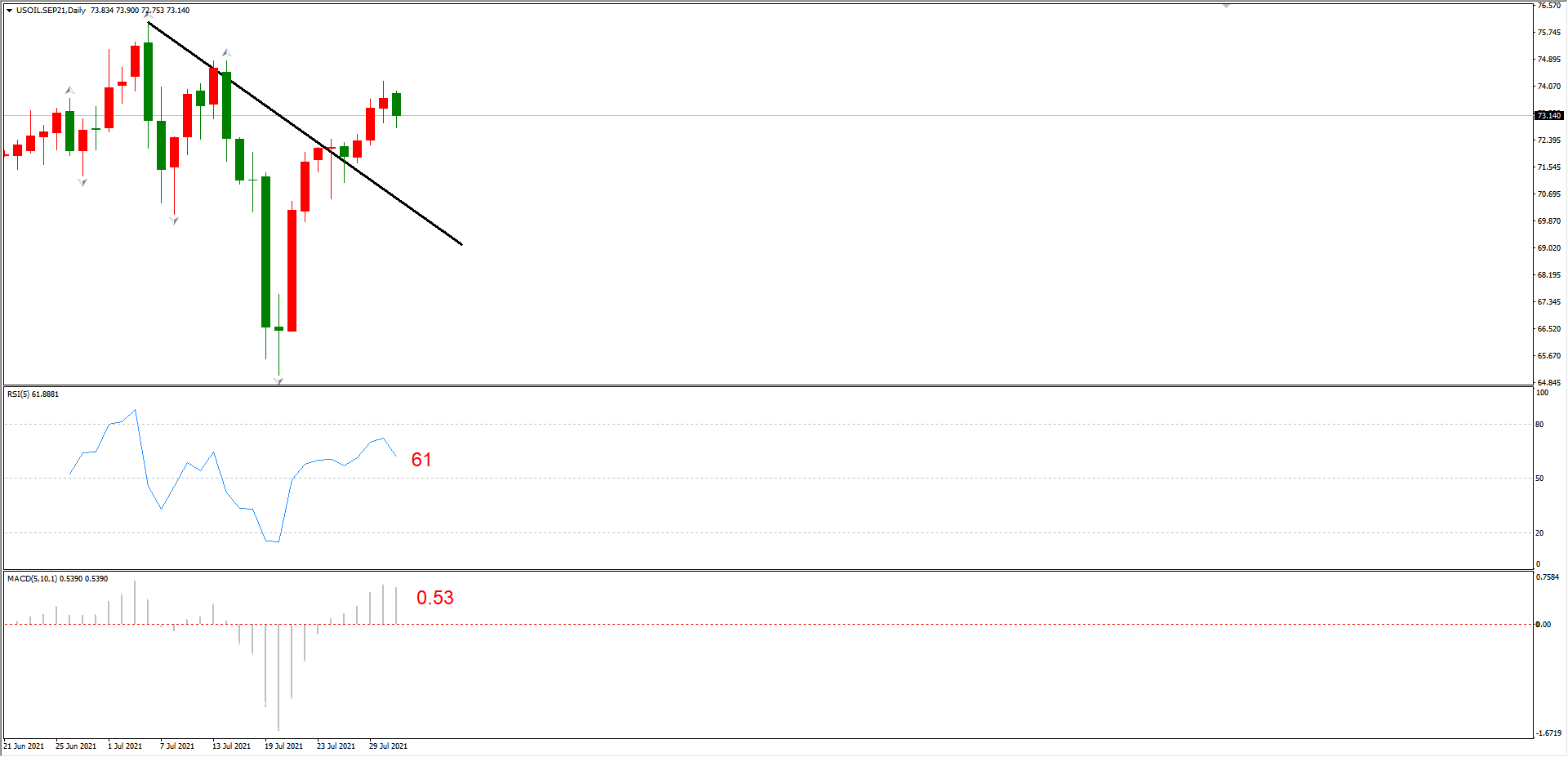 ATFX晚评0802：纳指高位震荡，黄金反弹遇阻，欧元持续上涨