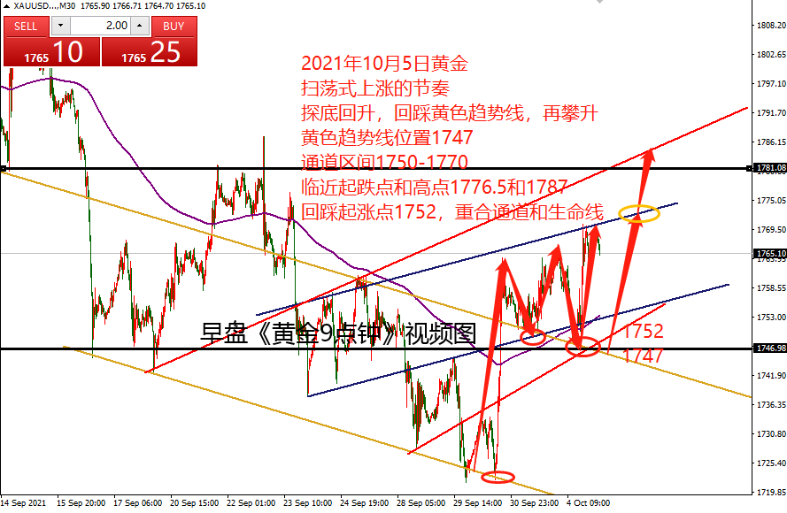 何小冰：黄金依托黄色趋势线，扫荡式破高 10.05