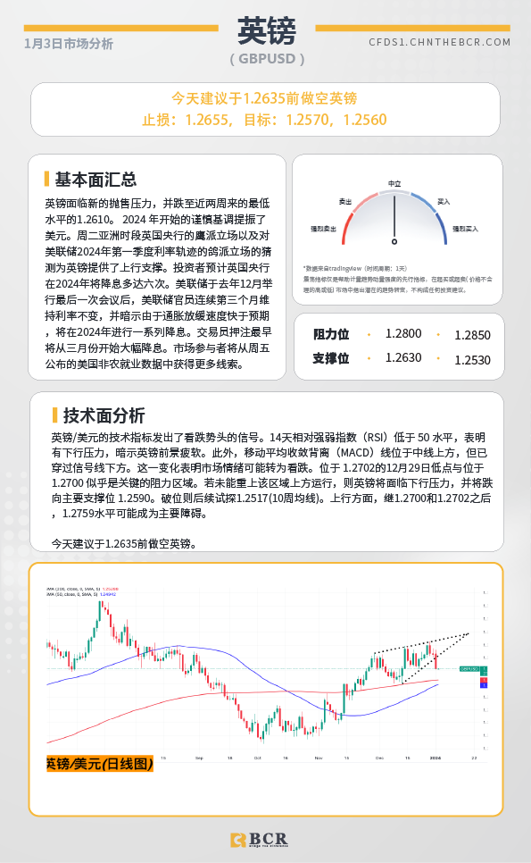 BCR每日早评及分析- 2024年1月3日