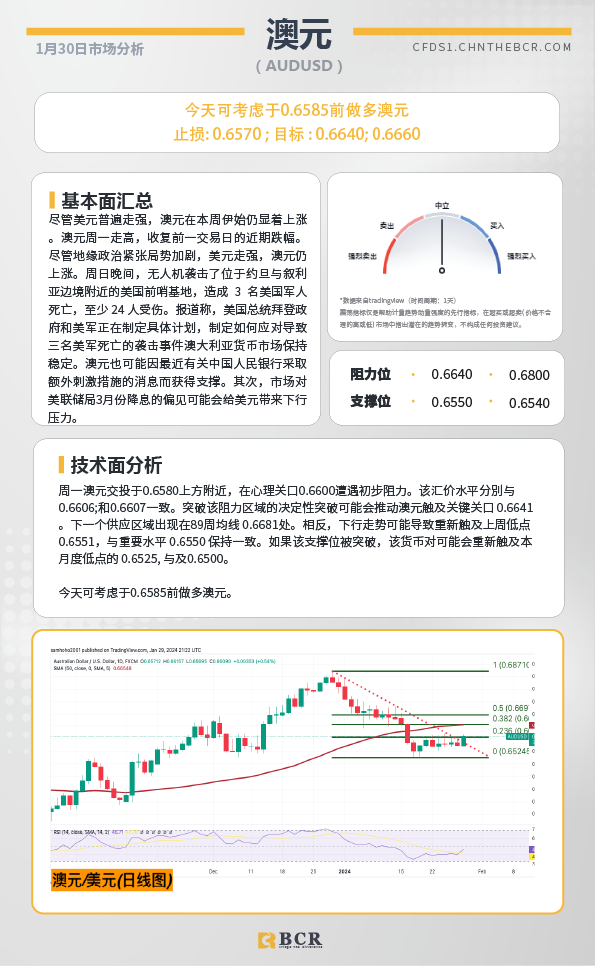  BCR每日早评及分析-2024年1月30日