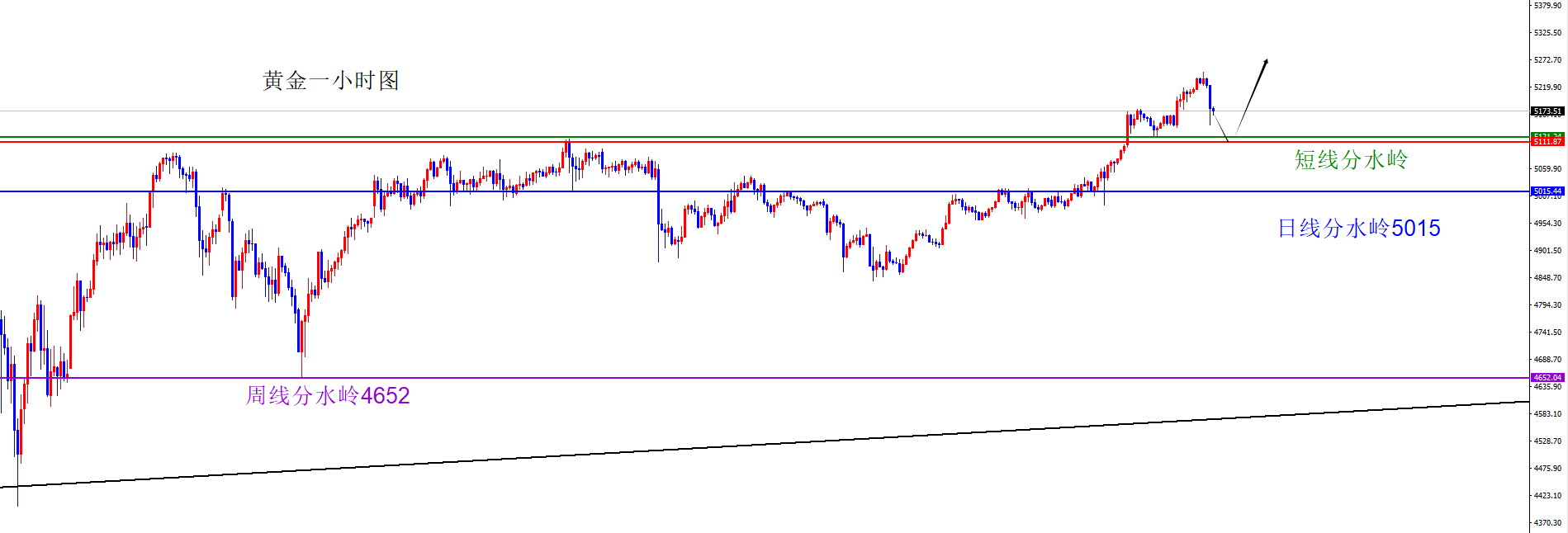 闫瑞祥:黄金四小时支撑不破依旧多,原油多头思路不变