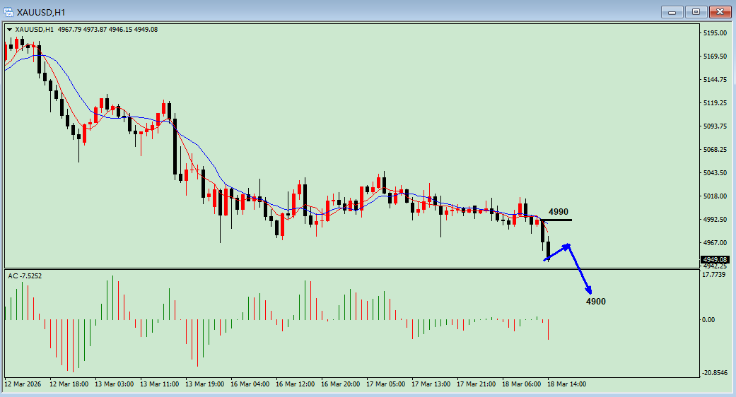 沈皓南：美联储利率决议重磅来袭，Are you ready？