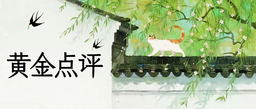 沈皓南：黄金，见底后继续看上行！