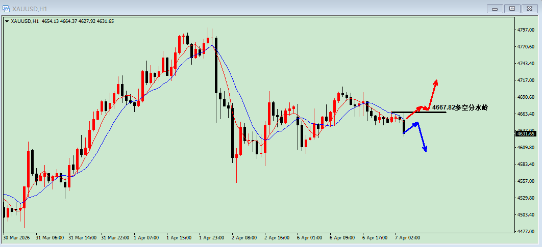 沈皓南：黄金，开始震荡！