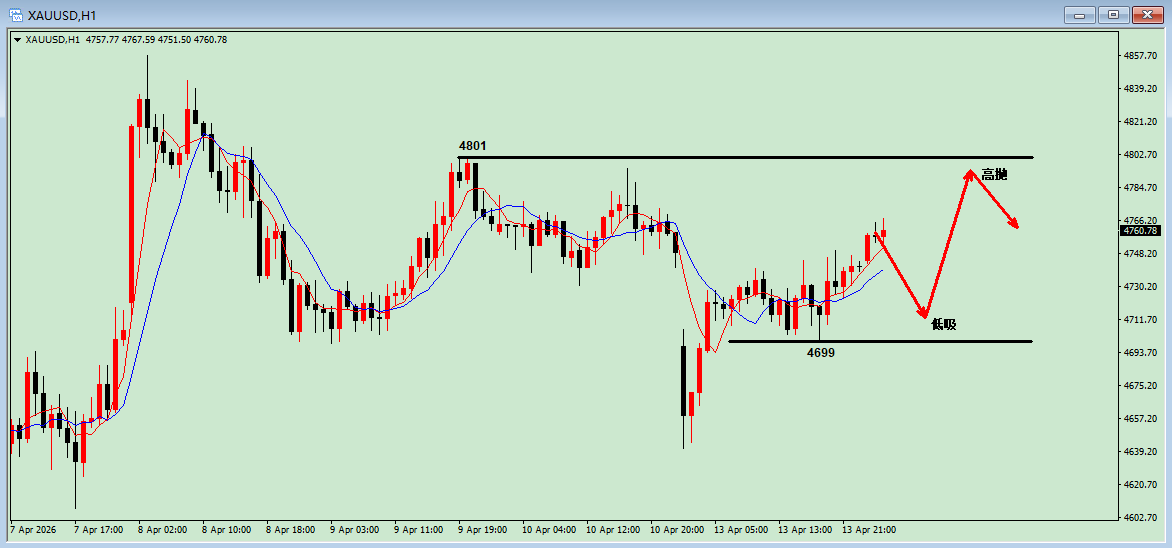 沈皓南：黄金，中期看涨，短期看震荡